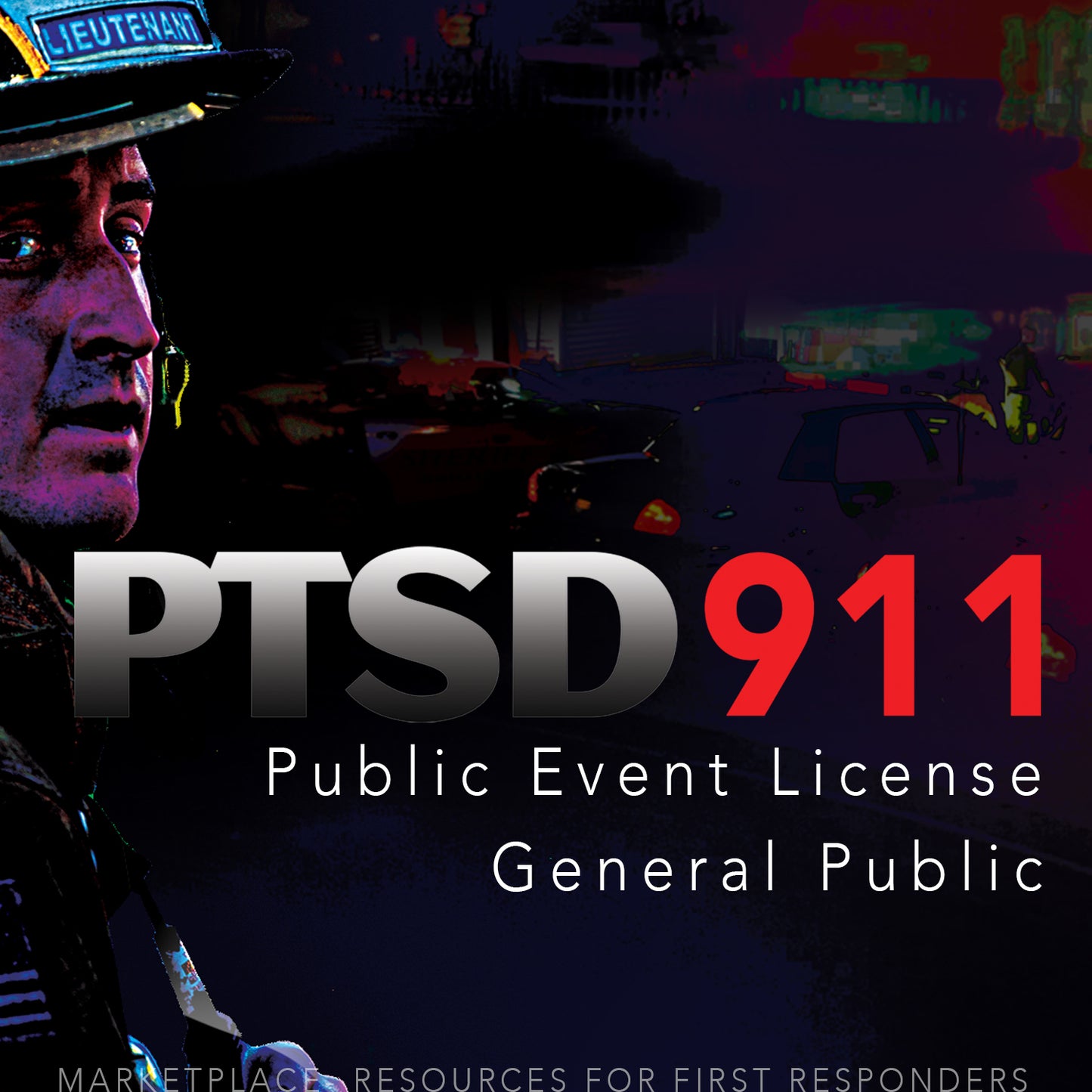 B - PUBLIC SCREENING LICENSE